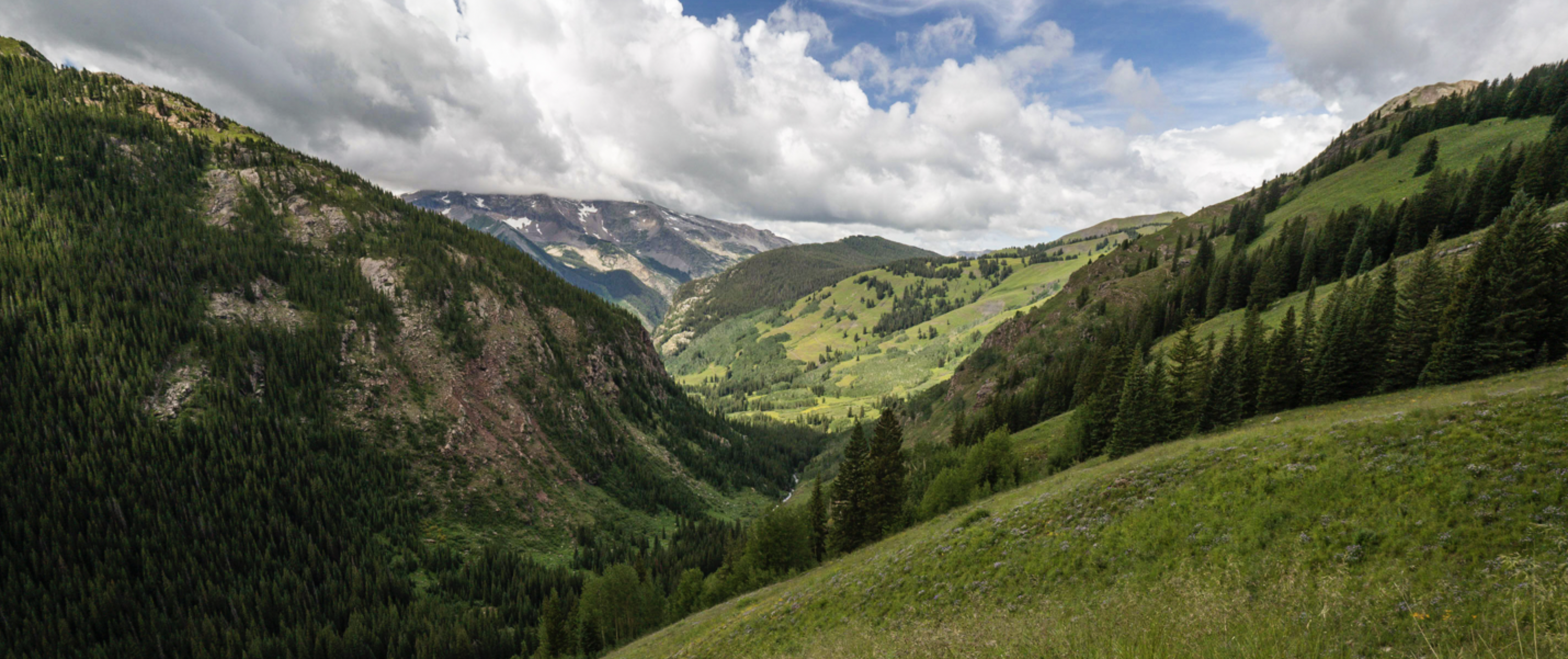 Looking down the middle of a lush green deep valley
