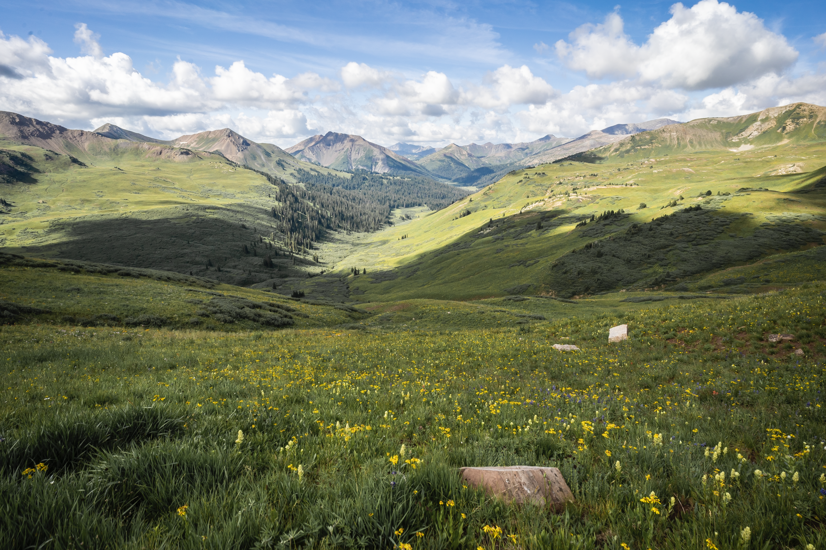 Looking down at a lush green valley with yellow wildflowers adorning it and mountains in the background