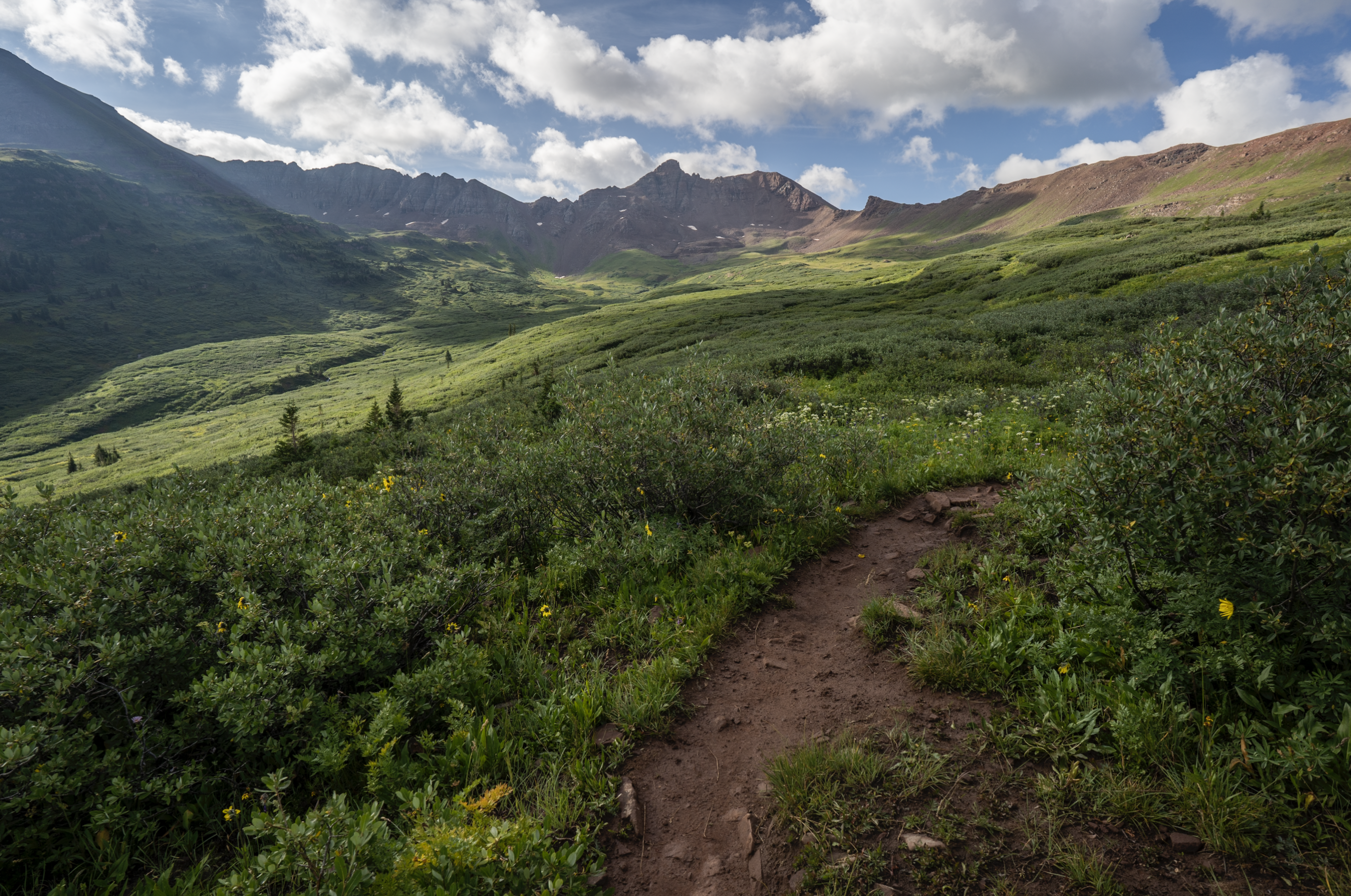 Large lush green meadow with mountains in the background