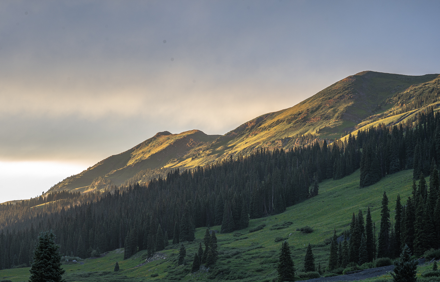 View of green and gold colored mountains