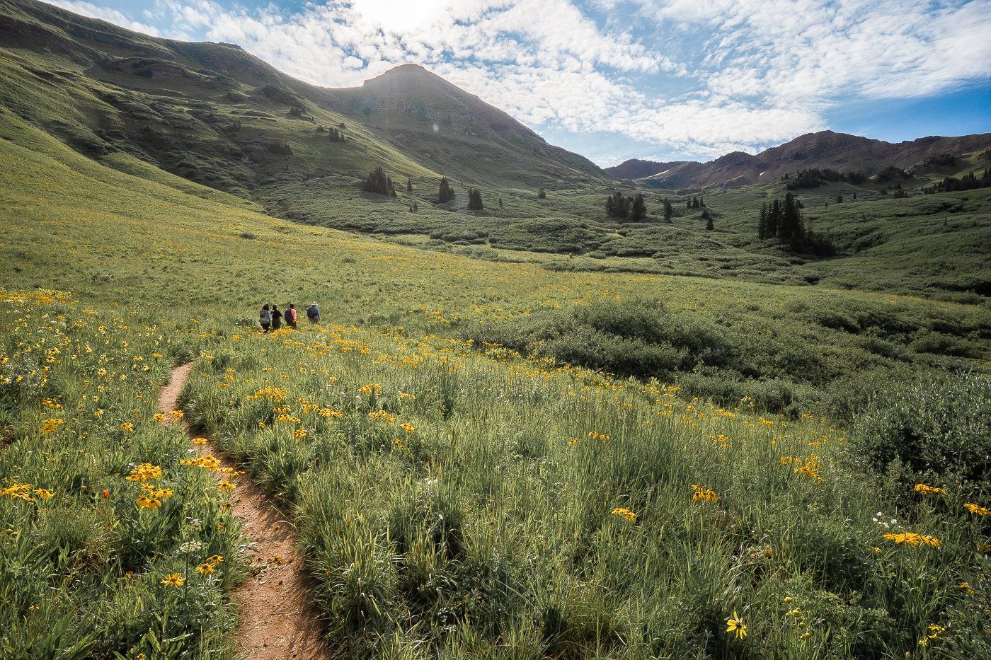 Hiking through lush alpine meadows towards West Maroon Pass in the background