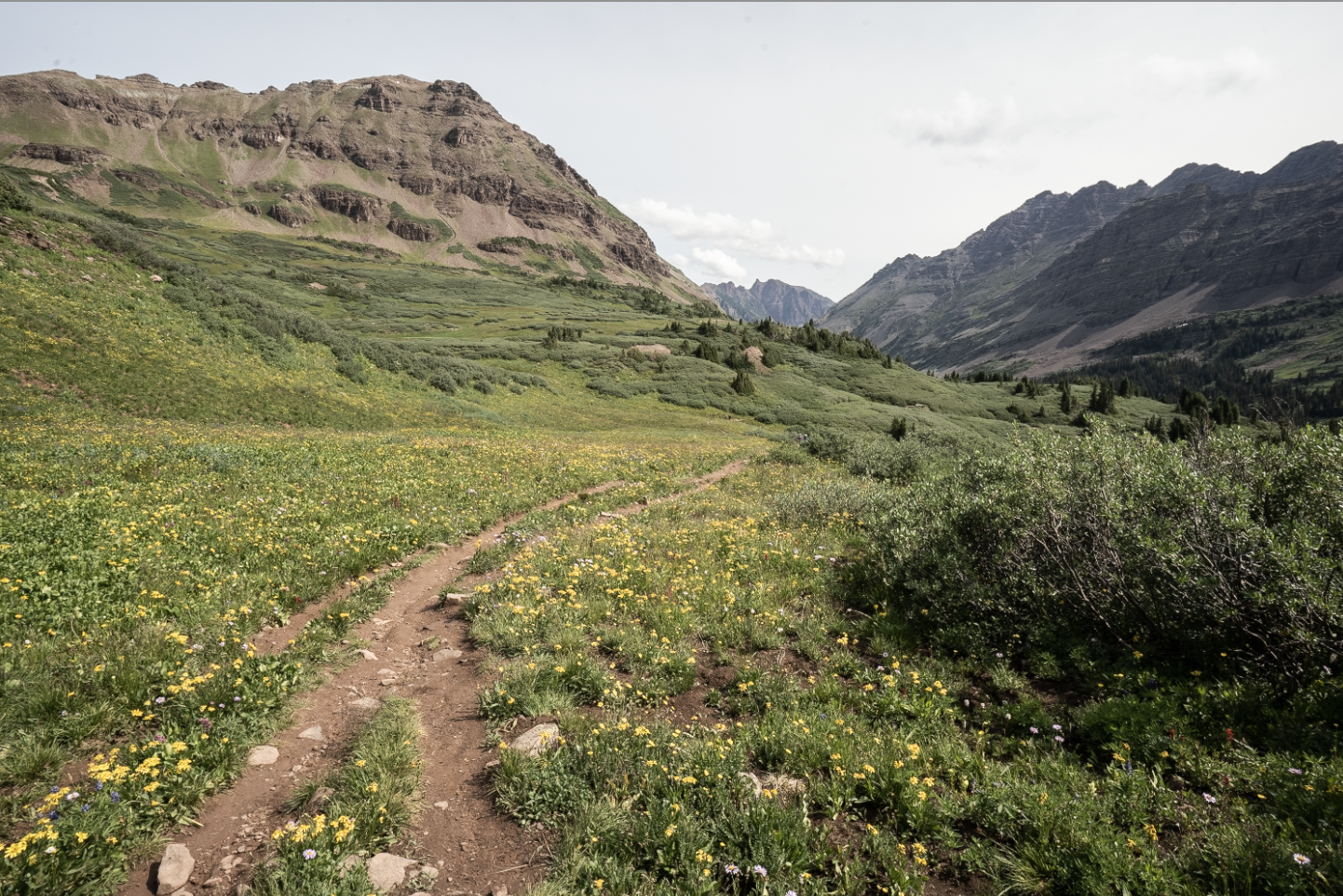 Looking down the trail in the valley heading towards Crater Lake